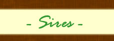 Click here to view Sires
